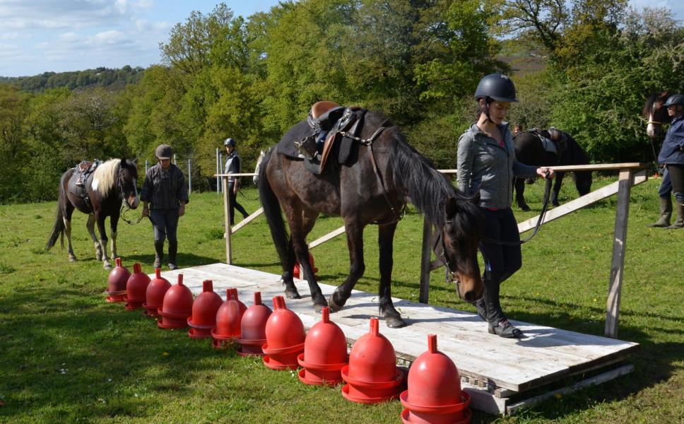 Parcours en terrain varié : la passerelle